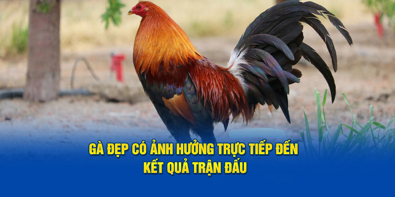 ga-dep-co-anh-huong-truc-tiep-den-ket-qua-tran-dau