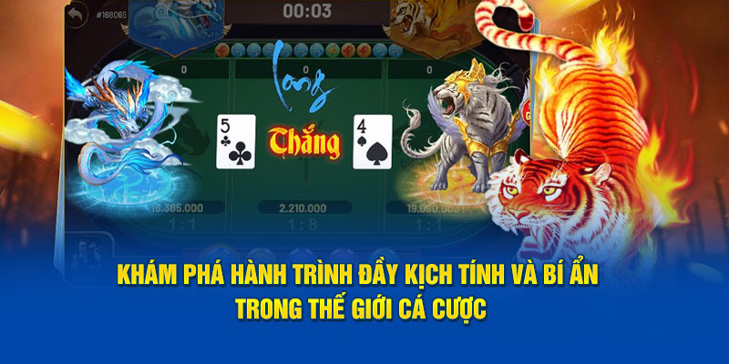 kham-pha-hanh-trinh-day-kich-tinh-va-bi-an-trong-the-gioi-ca-cuoc